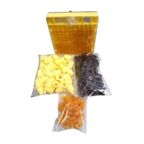 Set crestere 50 matci fara tranzvazare Turcia